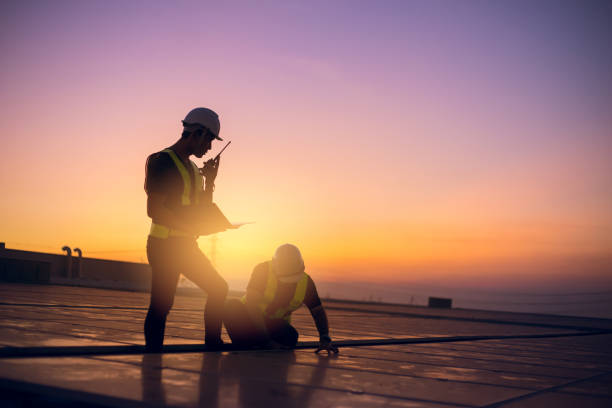 Best Flat Roof Repair Services  in Spring Grove, MN