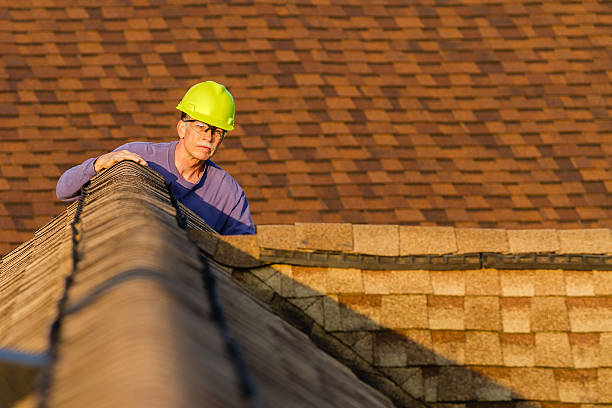 Best Roof Maintenance Services  in Spring Grove, MN